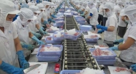 XUẤT KHẨU NÔNG, LÂM, THỦY SẢN TĂNG 6,3% SO VỚI CÙNG KỲ