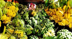 ASEAN tăng lượng xuất khẩu sang Nga