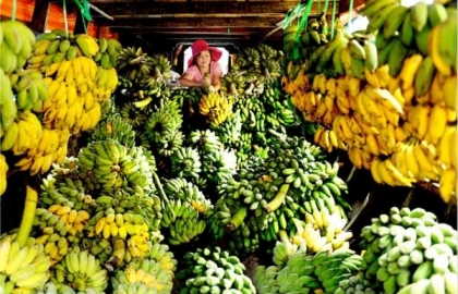 ASEAN tăng lượng xuất khẩu sang Nga